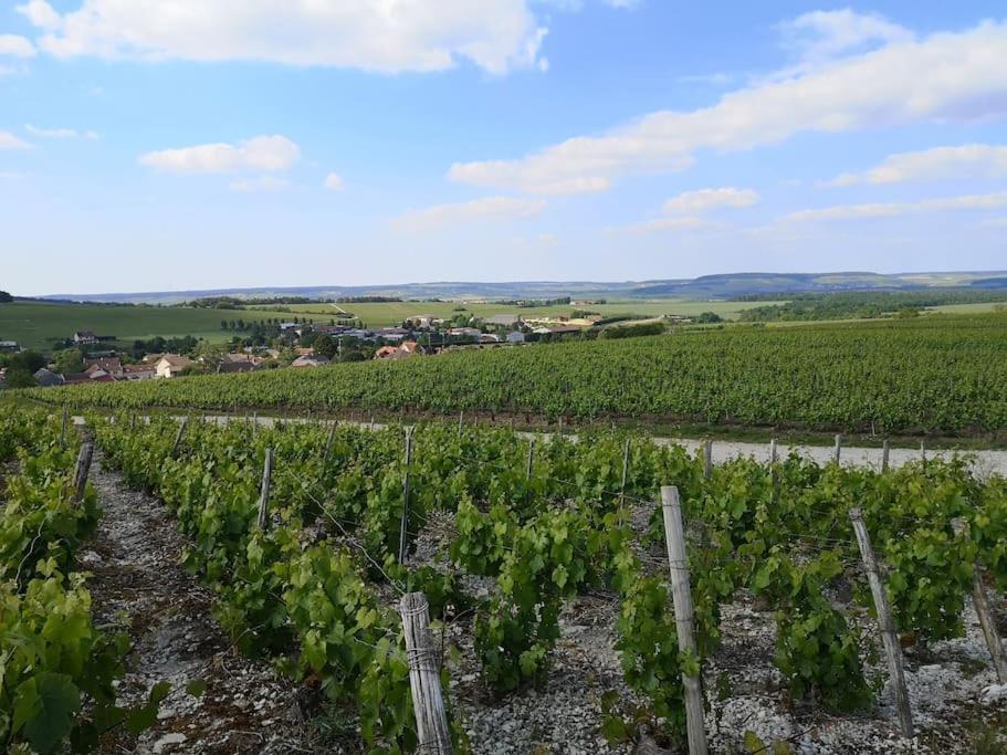 Maison Familiale De L Abbaye Clairvaux Екстер'єр фото